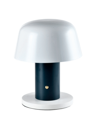 ABAJUR SETA AZUL E BRANCO D32CM A41CM 2XE27  MAX 40W